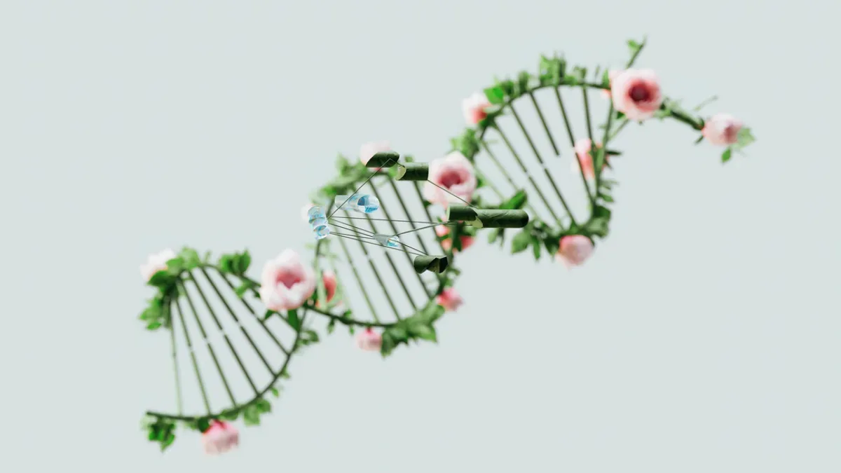 Genetiği Değiştirilmiş Bitkilerle Etin Protein Üretimi Mümkün Olacak